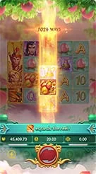 a77 · Lgd Monkey Kg