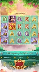 a77 · Lgd Monkey Kg